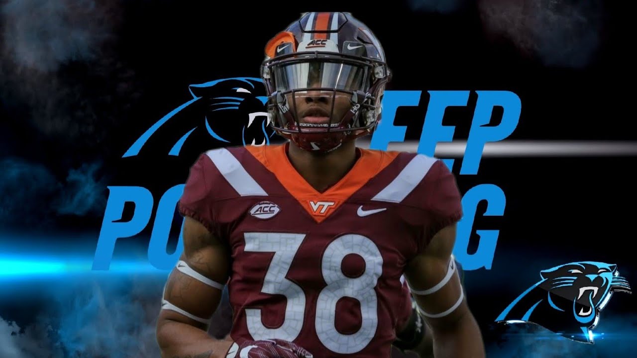 Amar&eacute; Barno | Welcome To Carolina 🐾