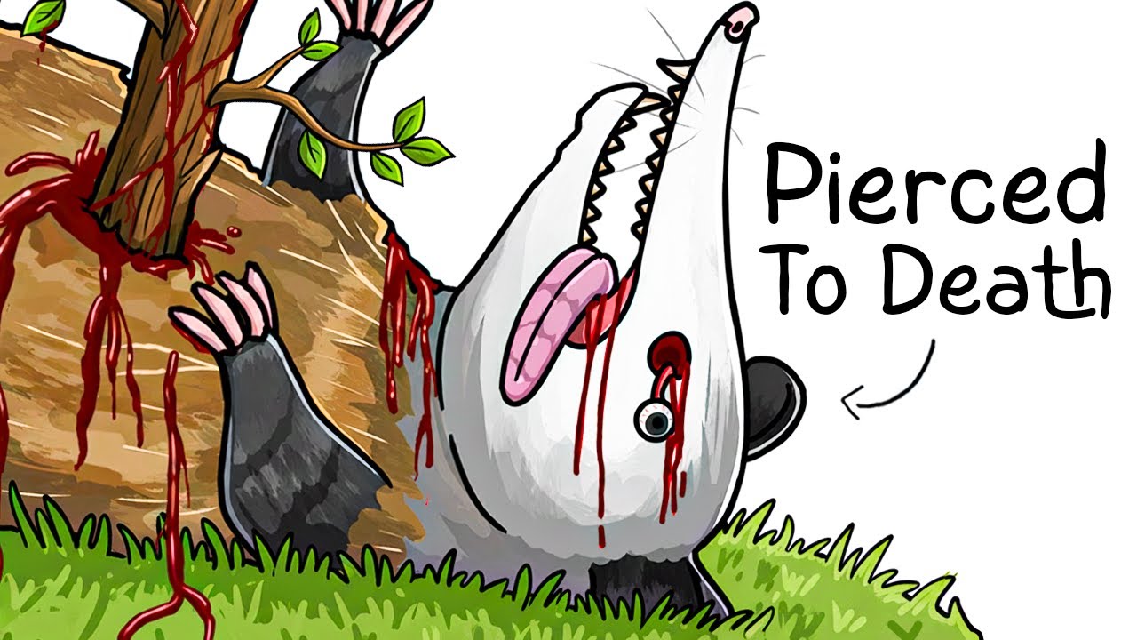 Why it Sucks To Be Born As an Opossum