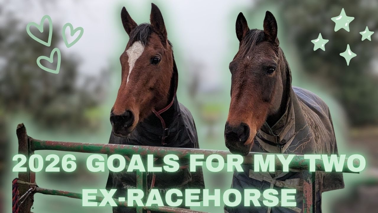 2026 Goals with my TWO ex-racehorses || @melissa.emma.equestrian