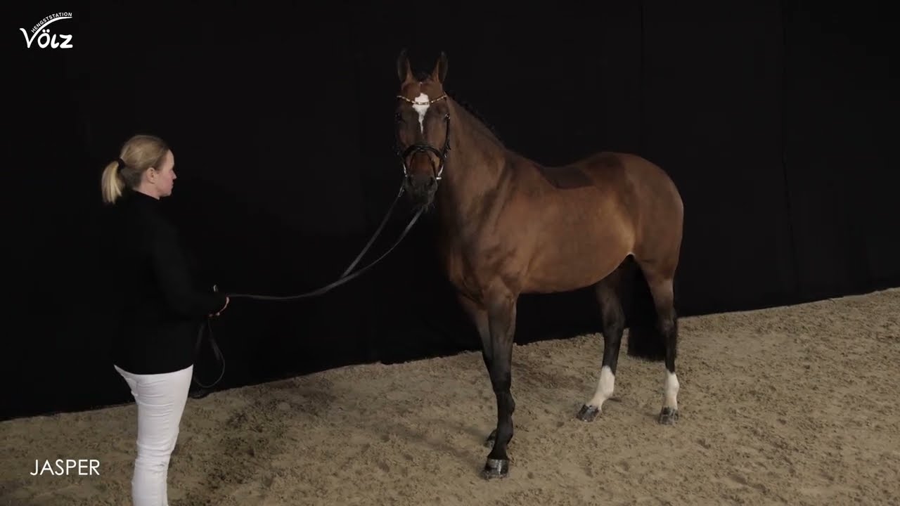 Jasper (Heartbreaker/Darco/Ramiro Z)