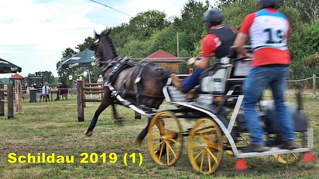 SCHILDAU 2019 (1) Einspänner