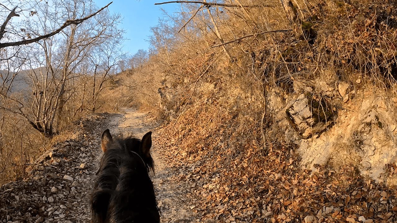 Horseback Riding In The Mountains