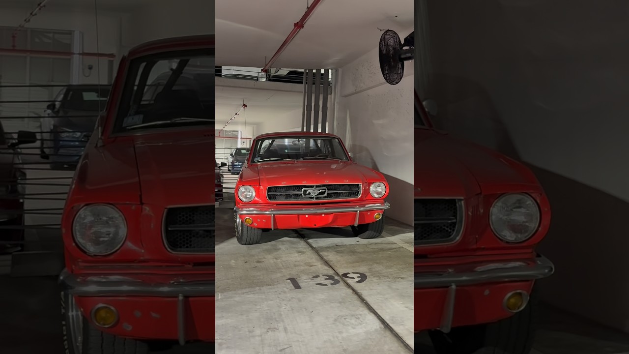 1965 Ford Mustang😮&zwj;💨#cars #saidgrc
