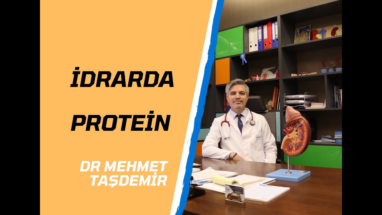 İdrarda protein varlığı  mp4