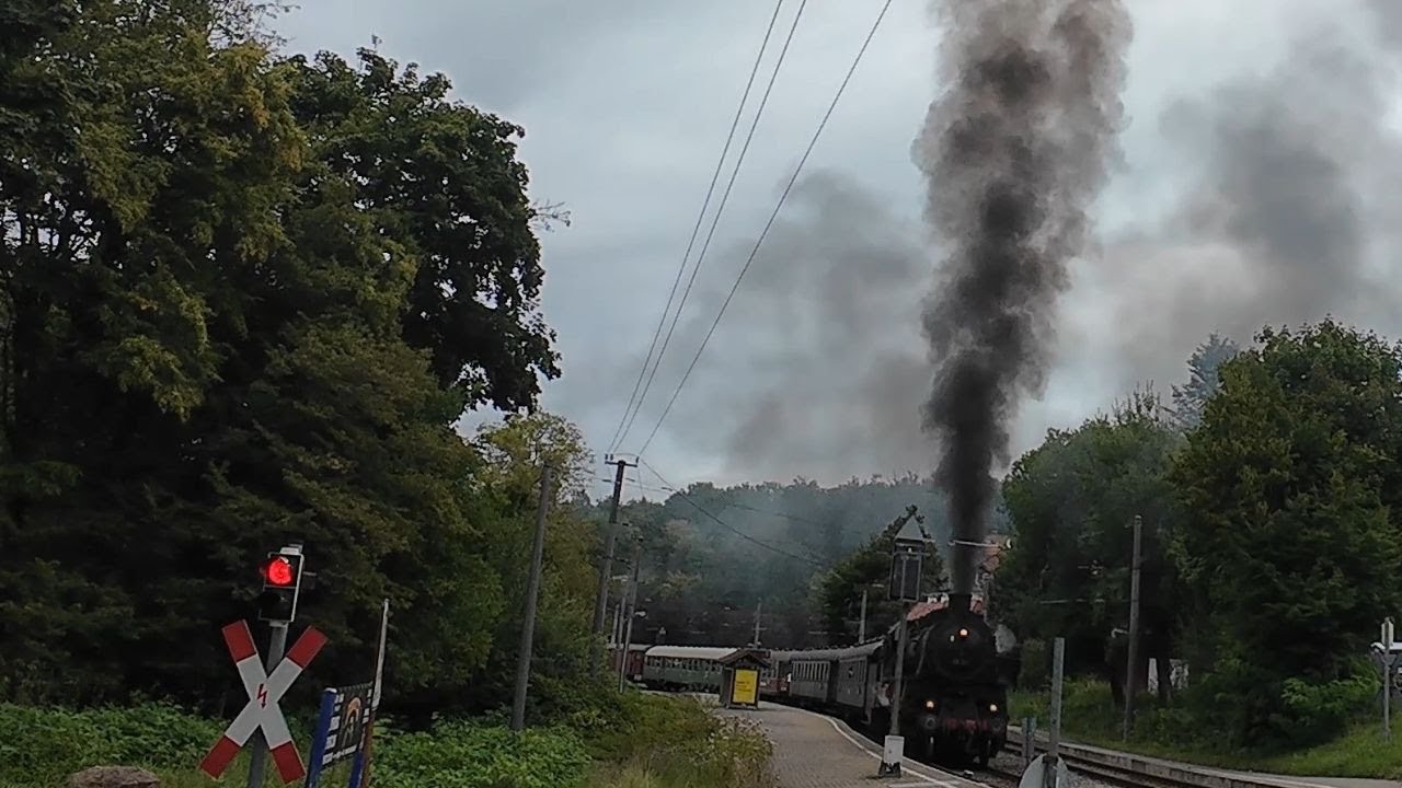 Dampfzug im Albtal 08/2025 #dampflok #steamtrain #railway