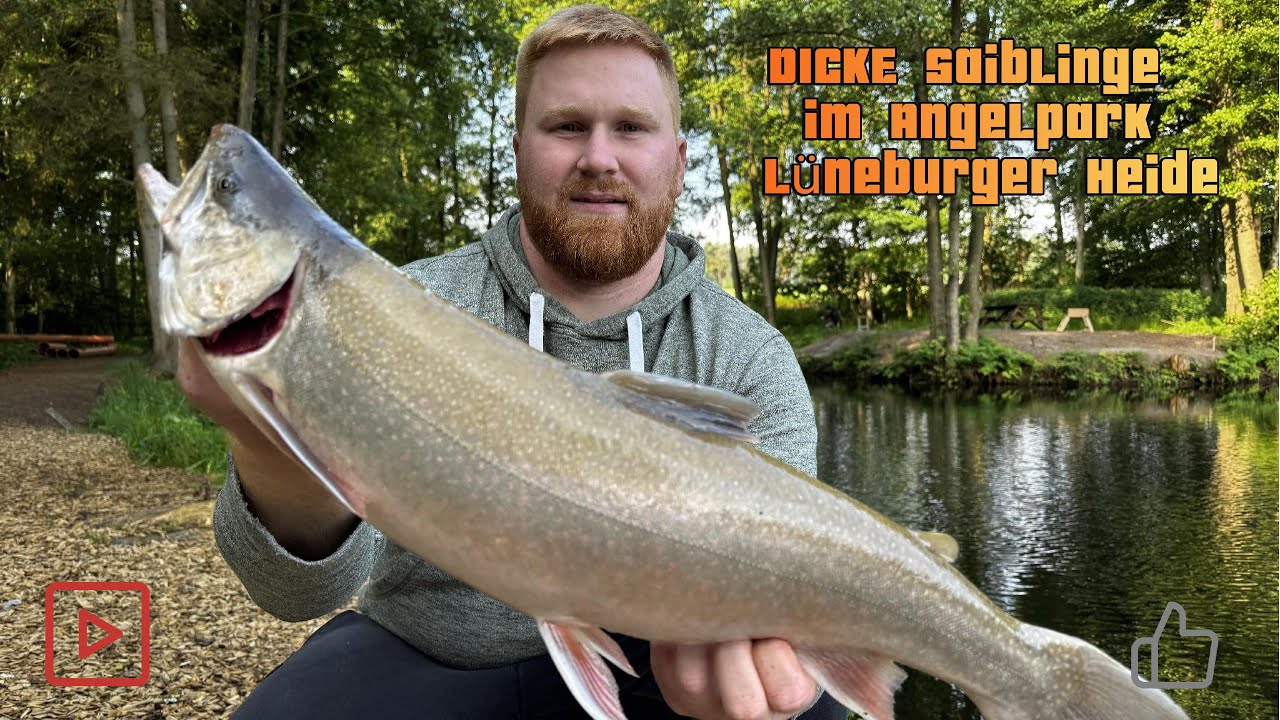 Dicke Saiblinge im Sommer | Forellenangeln in der Lüneburger Heide