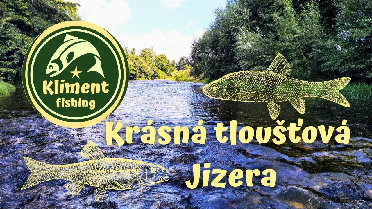 Jizera je čisťoučká a plná tloušťů.