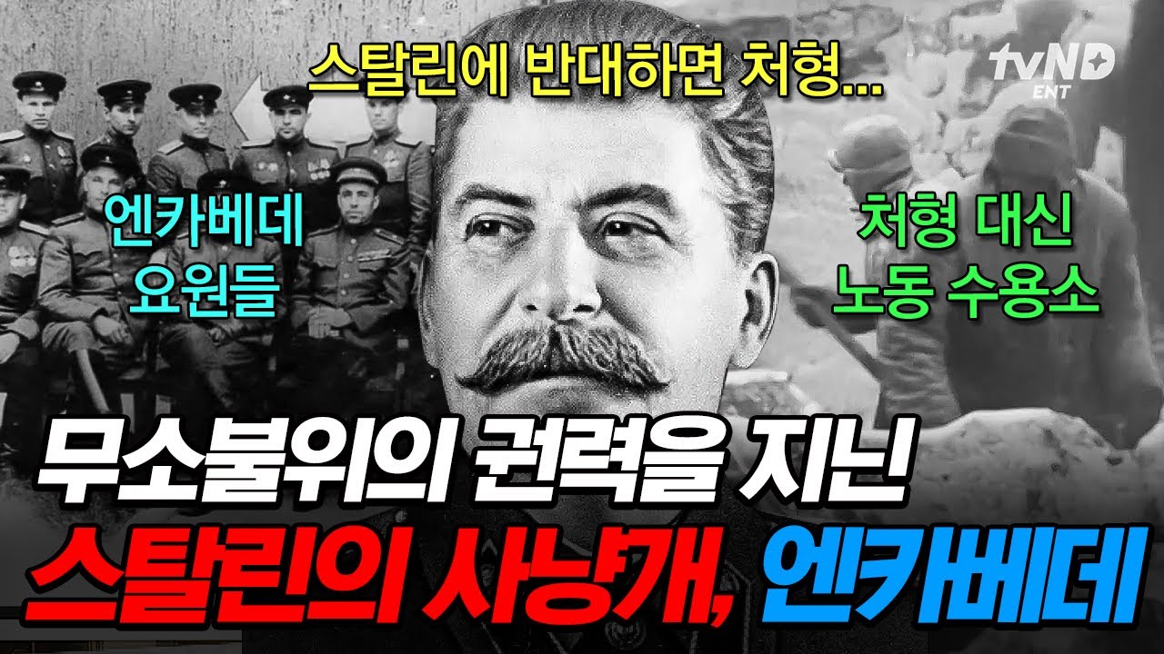 [#벌거벗은세계사] 소련에서 벌어진 피의 대숙청🩸 스탈린의 반대파를 없애기 위해 소련 전체를 공포로 물들인 엔카베데의 방법 ㄷㄷ