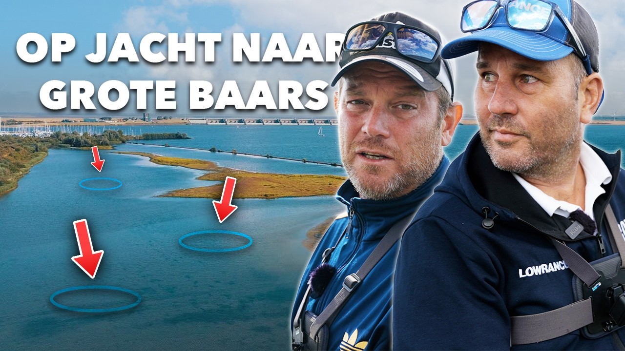 ALLES over BAARS VISSEN in de ZOMER / HERFST!