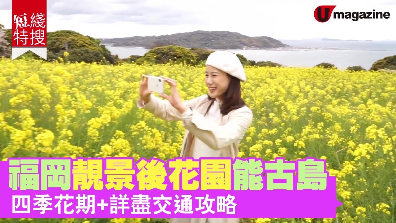 【#短綫特搜】福岡靚景後花園能古島 賞花+交通攻略