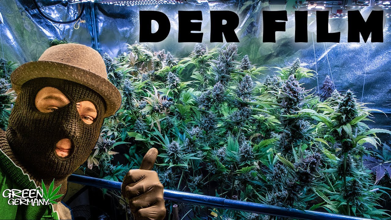 HomeGrow in Deutschland - DER FILM