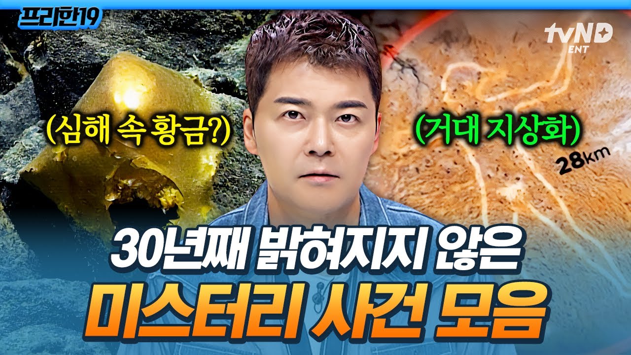 [#프리한19] 하루아침에 생긴 28km짜리 그림❓ 강산이 세 번 바뀔 동안 풀리지 않은 세계 미스테리🔎