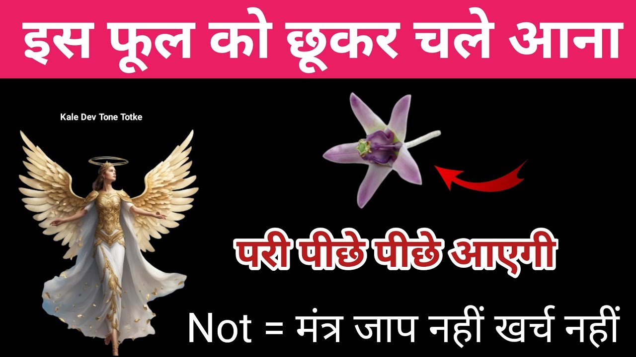 इस फूल को छूकर चले आना | परी पीछे पीछे आएगी | Pari sadhna | Pari ka amal | Pari ki hazri | Pari