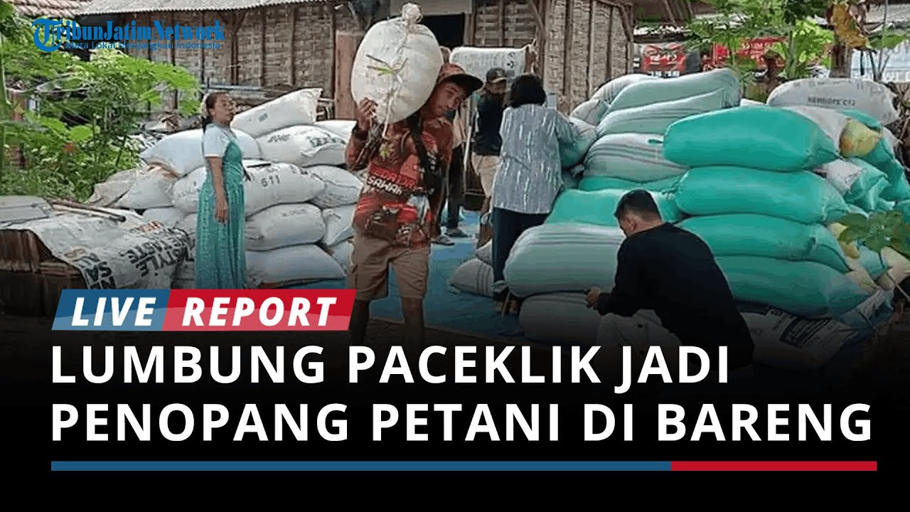 Lumbung Paceklik Warisan Tahun 1963 Masih Bertahan dan Menjadi Penopang Petani di Desa Bareng