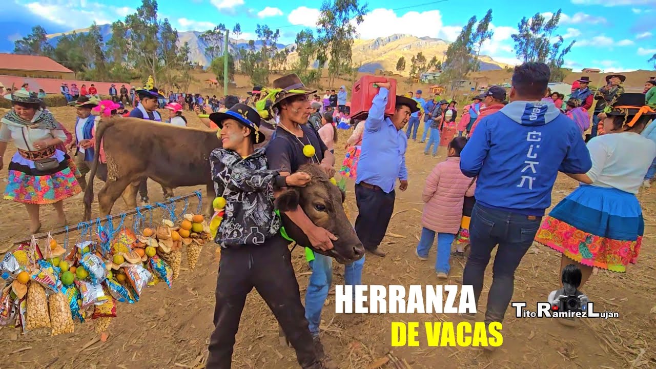 Santiago Herranza de Vacas- Atahuarco Paucarbamba Huancavelica | TitoRamirez