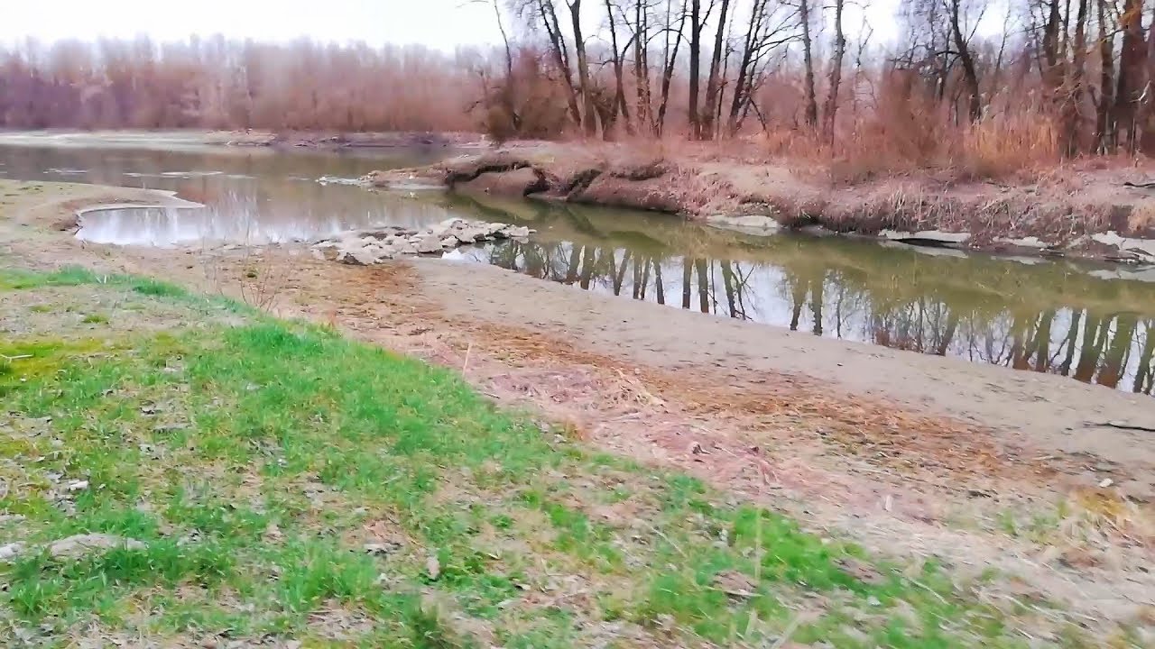 Vízállás jelentés: Dráva szuper alacsony tavaszi vízállás Fekete víz torkolat 2019. 03. 10.