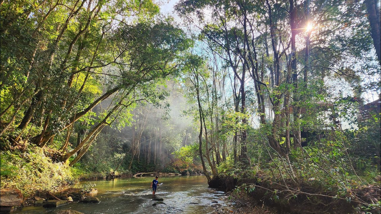 Camping at Ancamp - Lac Duong - Lam Dong Province