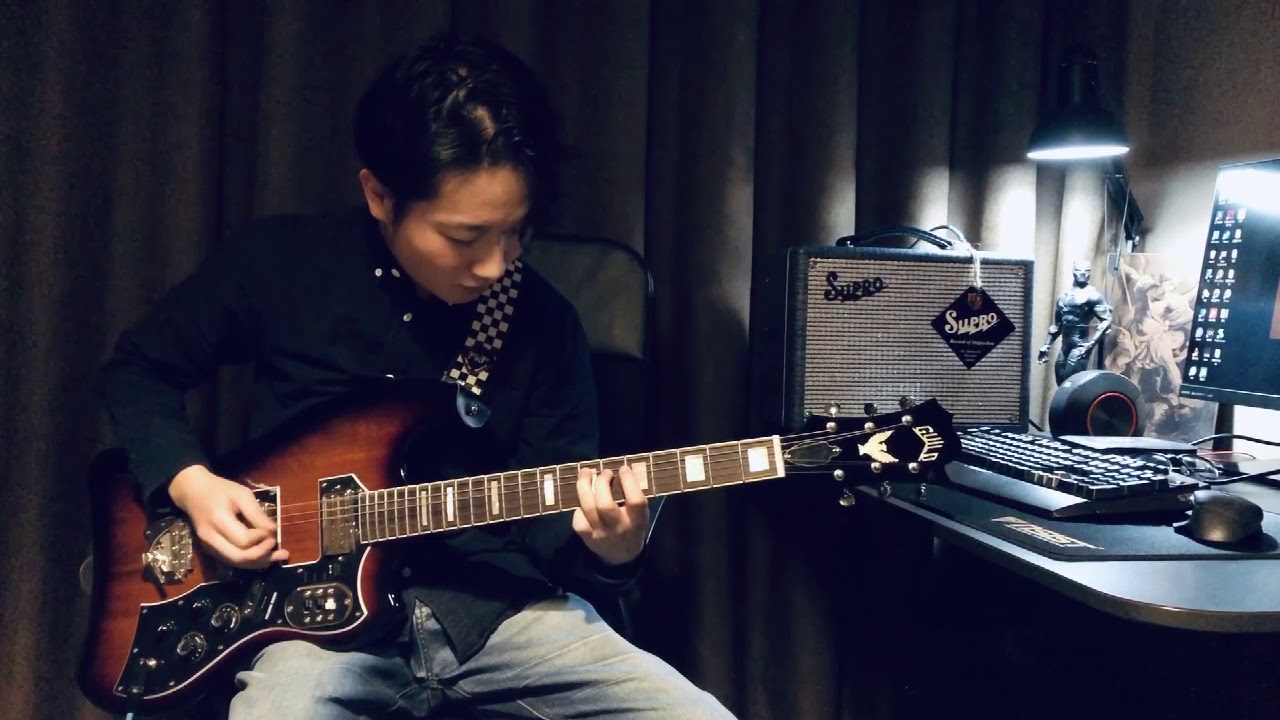 supro 1605r +guild s-200 t-bird