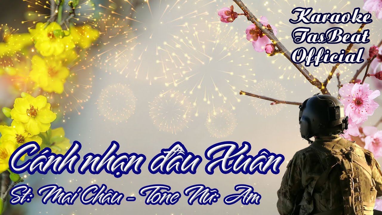 Karaoke Cánh Nhạn Đầu Xuân Tone Nữ | TAS BEAT