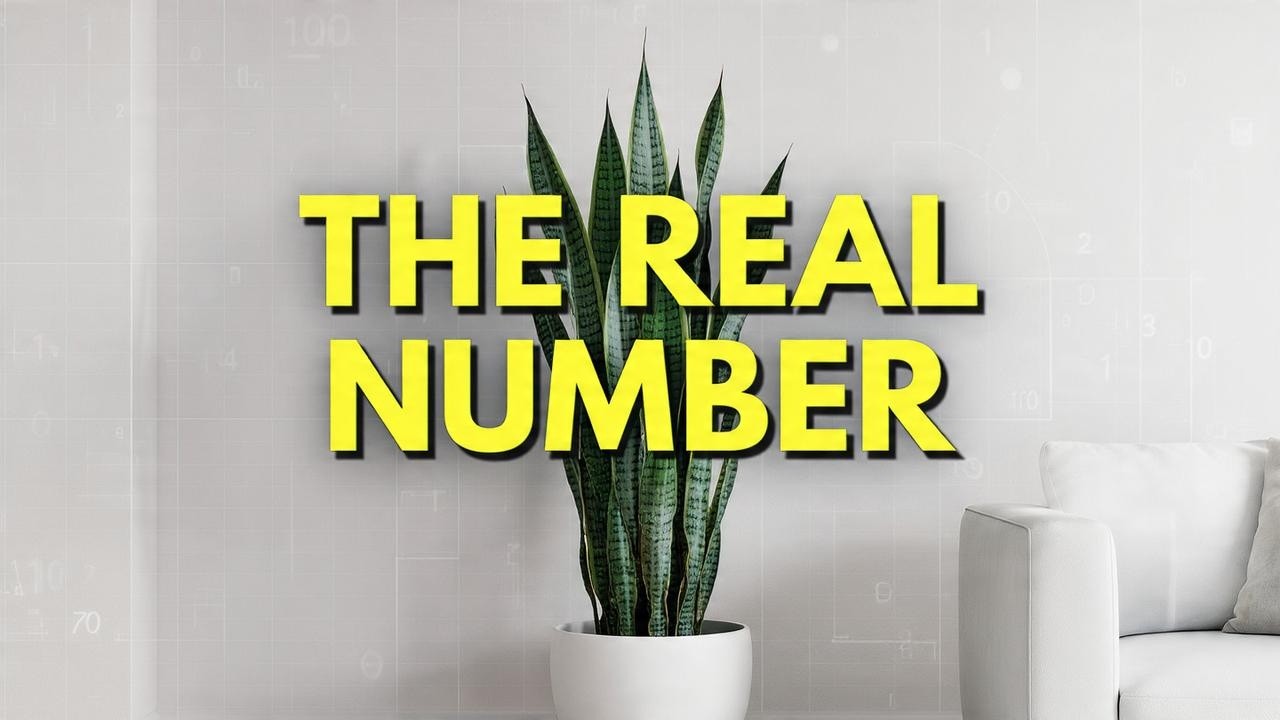 Beyond Passive Leaves: The Science of Active Biofiltration in Snake Plants