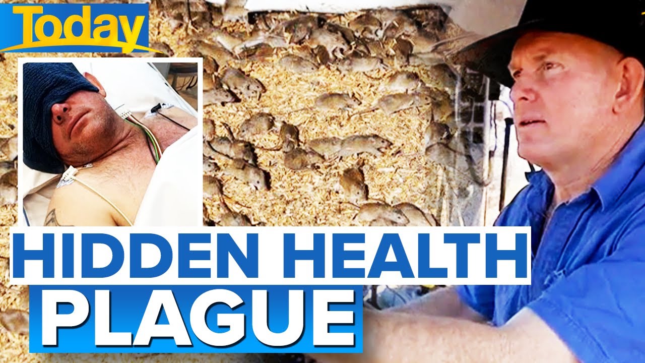 Farmer nearly dies after contracting mice-borne illness | Today Show Australia