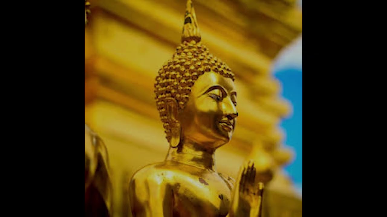 Wonder Meditation 02-17-26