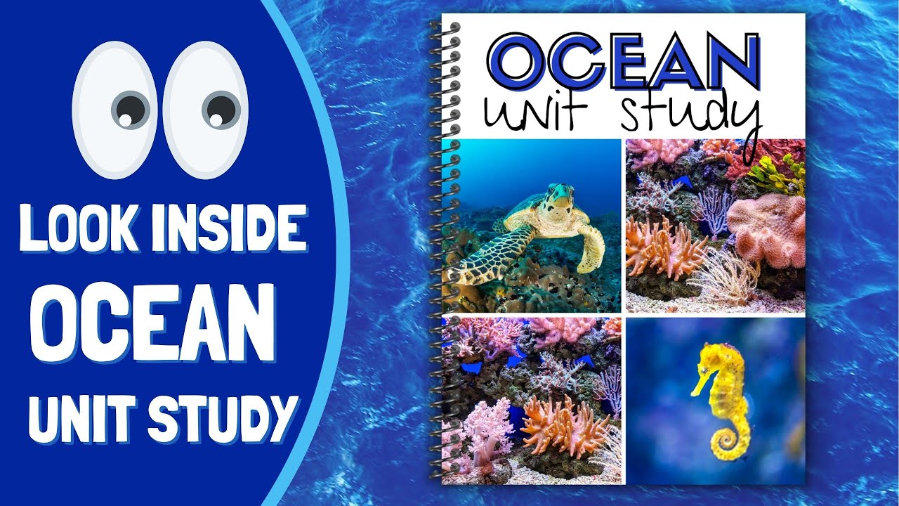Look Inside: Ocean Unit Study