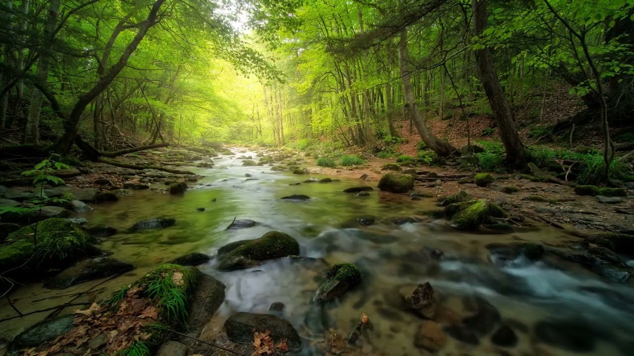 ✨ If You're STRESSED, Listen to This: 8 HOURS of DEEP SERENITY Instant Relaxation Music 🎧