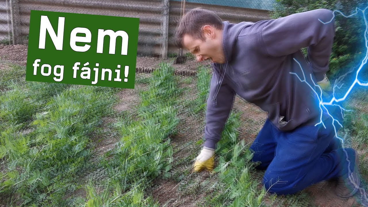 Gyomirtás, avagy a 3 bio gazolási technika
