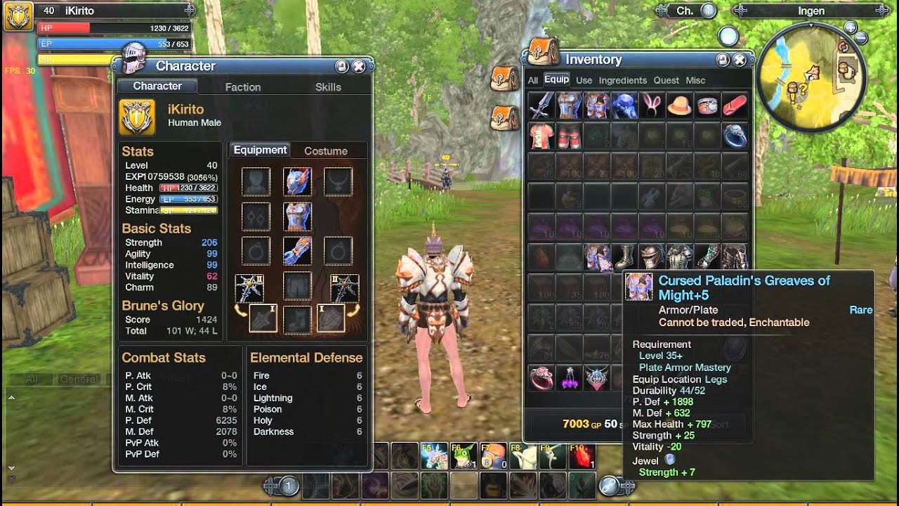 RaiderZ - Proof that im not ''str stat stacking'' - for someone.