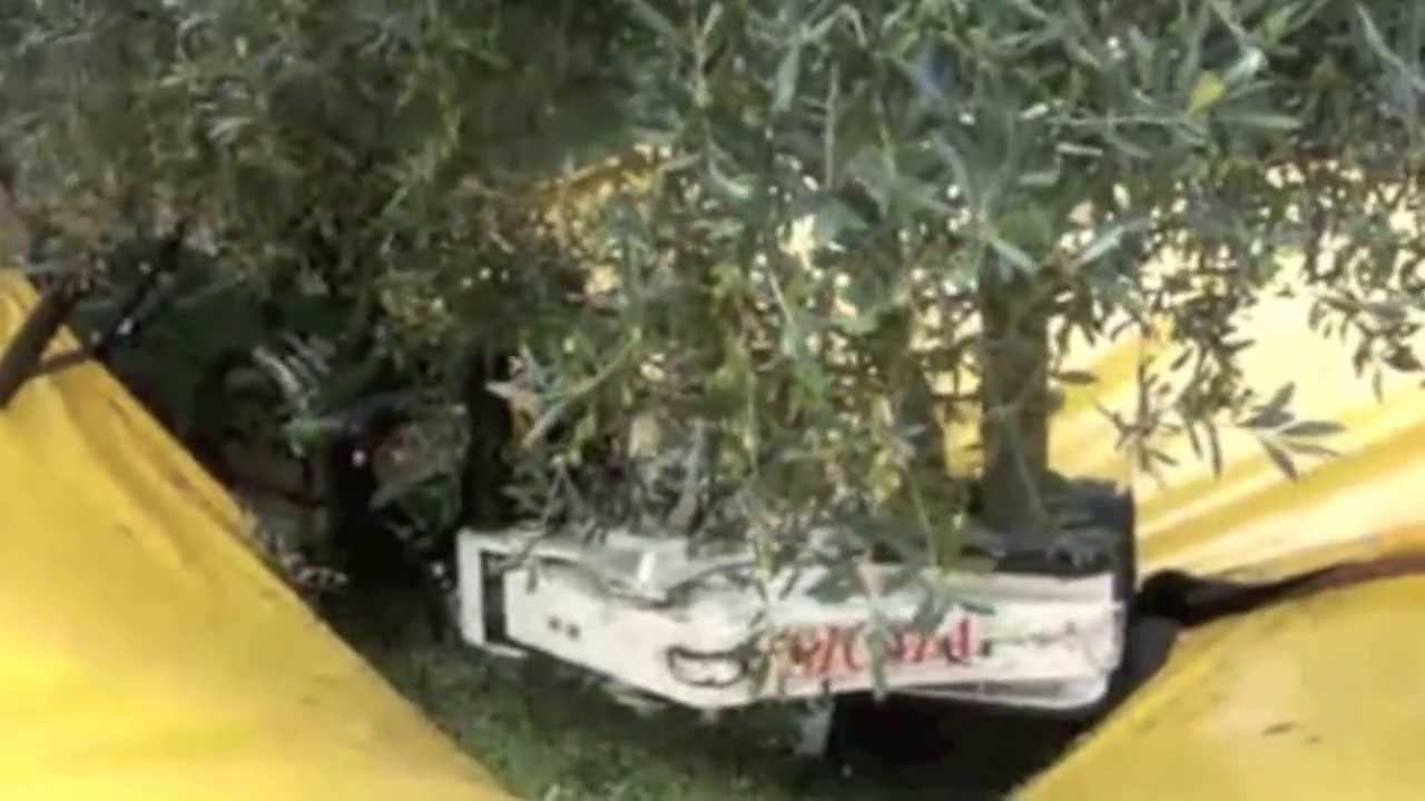 Sicma TR30 Olive Harvester