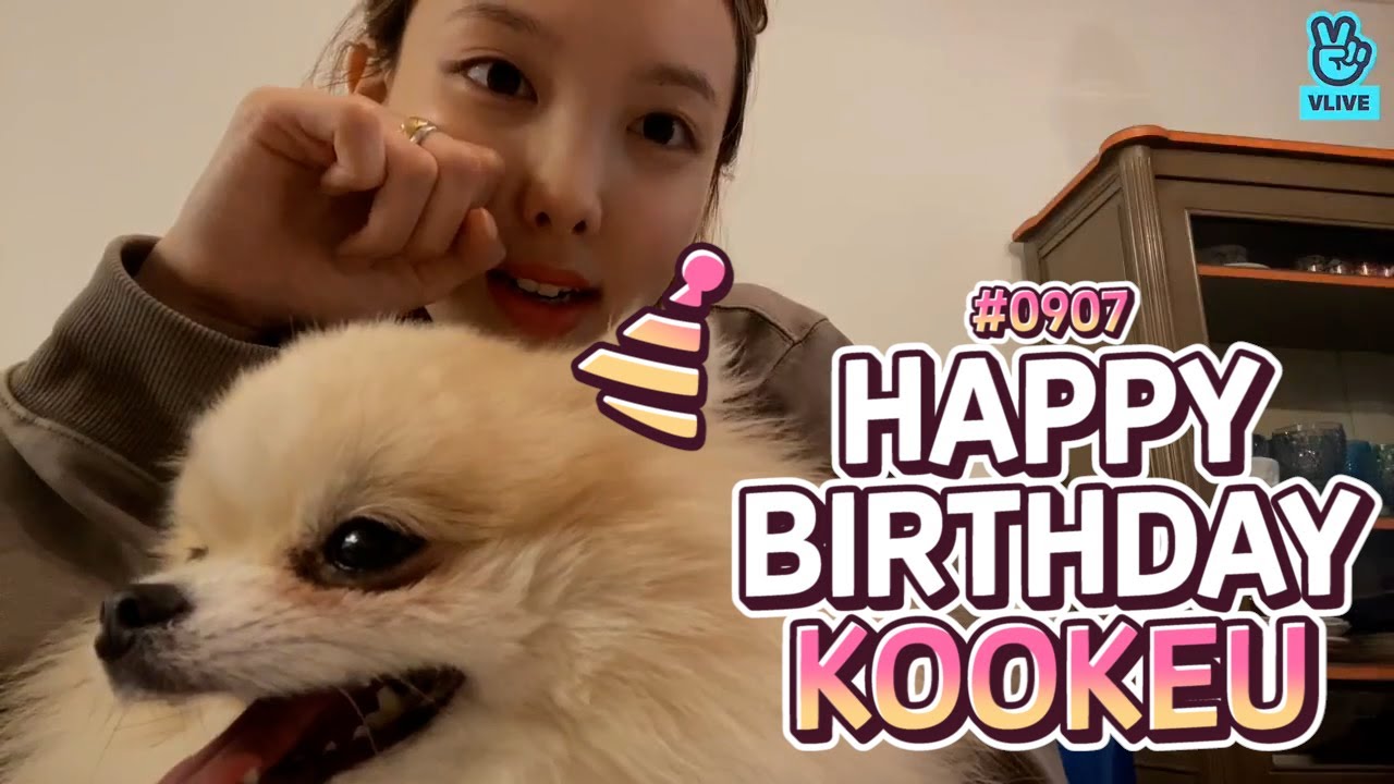 (ENG sub) [VLIVE] TWICE - Nayeon’s V with Kookeu