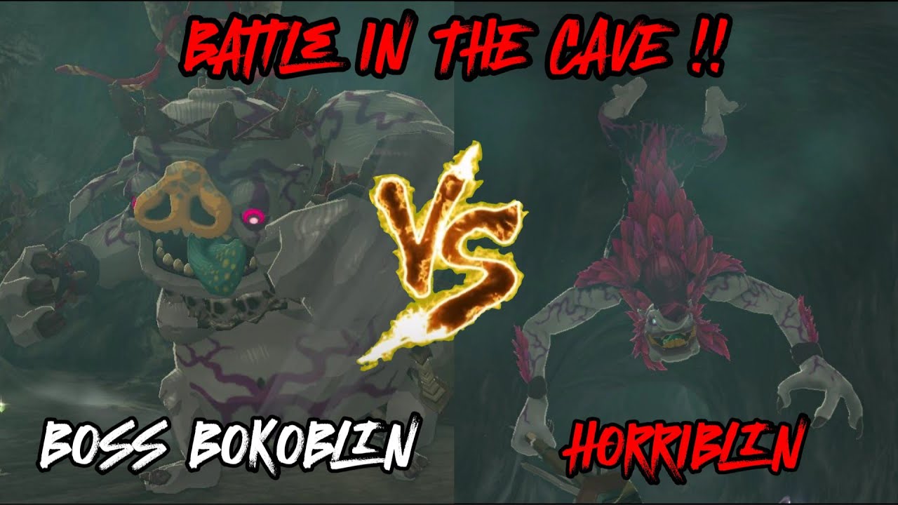 BOSS BOKOBLIN VS SILVER HORRIBLIN ! BATTLE IN THE CAVE ! (The Legend of Zelda: Tears of the Kingdom)