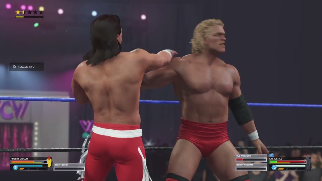 WCW Saturday Night Robert Gibson 🆚 Sid Vicious