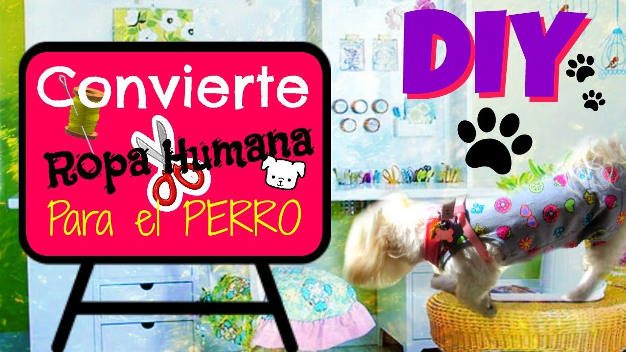 DIY🐶 convierte ropa humana para el PERRO, Coton de tulear I Lorentix