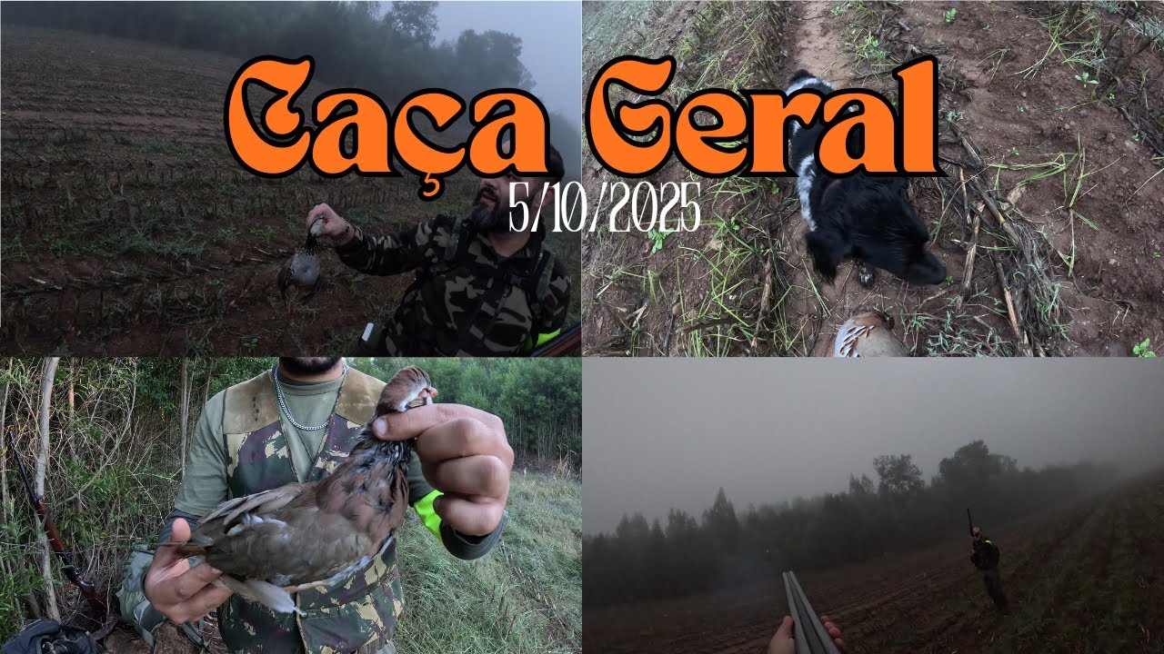 🎯 Dia de Ca&ccedil;a Geral: Entre Fais&otilde;es, Perdizes e Coelhos