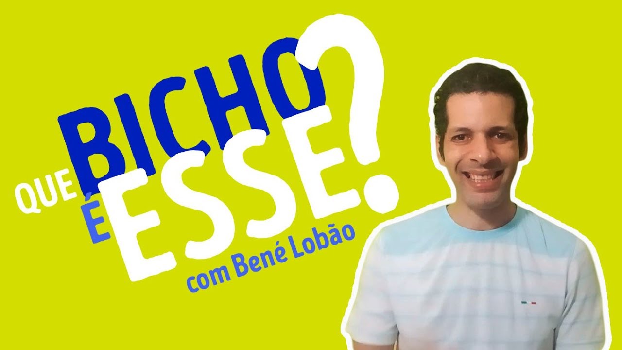 QUE BICHO &Eacute; ESSE #1 - Cabra de Damasco, a cabra mais bonita (ou mais feia?) do mundo