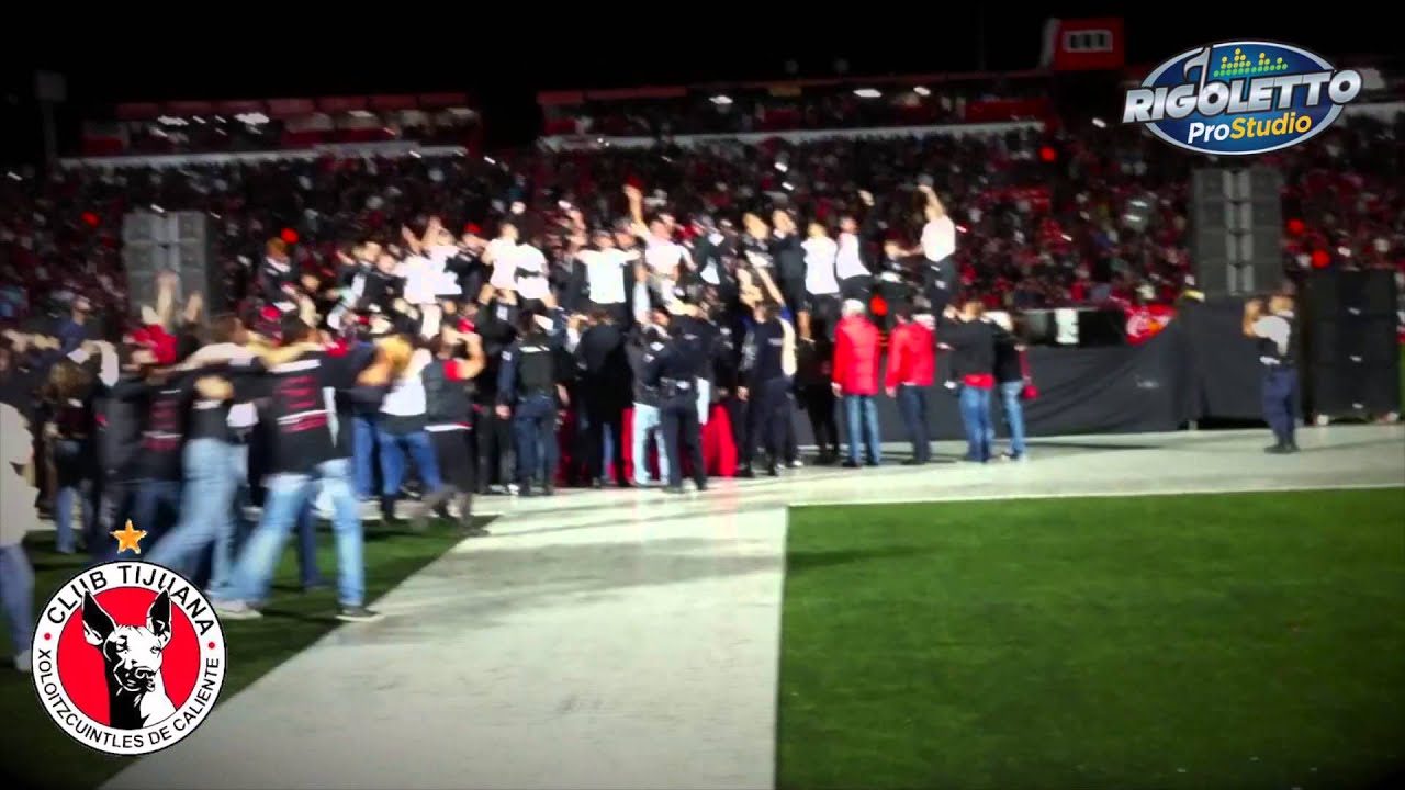 Xolos Campeones Apertura 2012 Festejando en Estadio Caliente