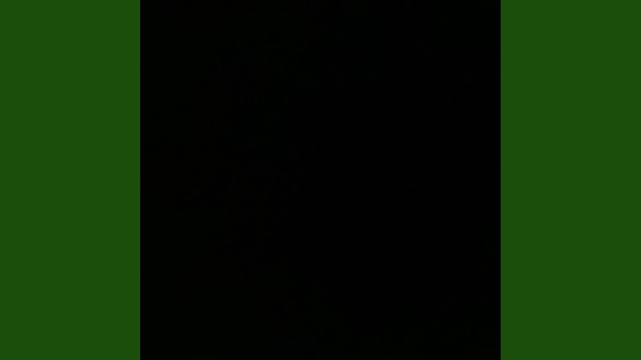 随便写写Freestyle