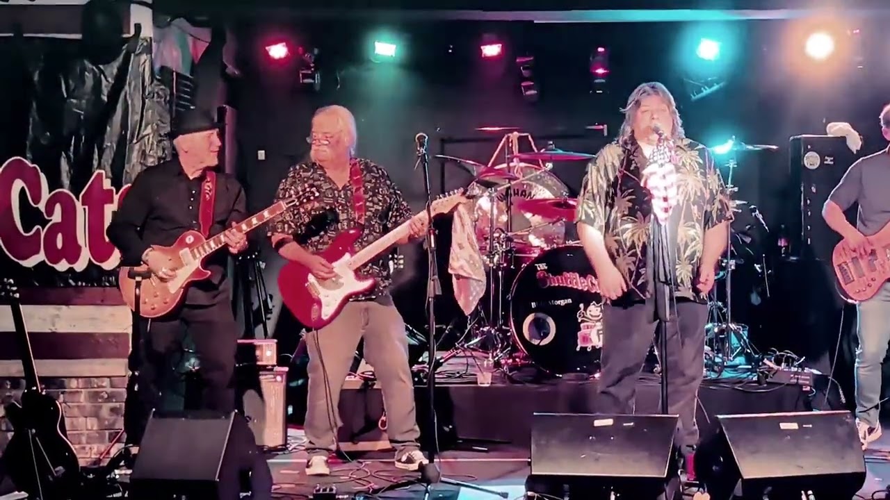The ShuffleCats - 