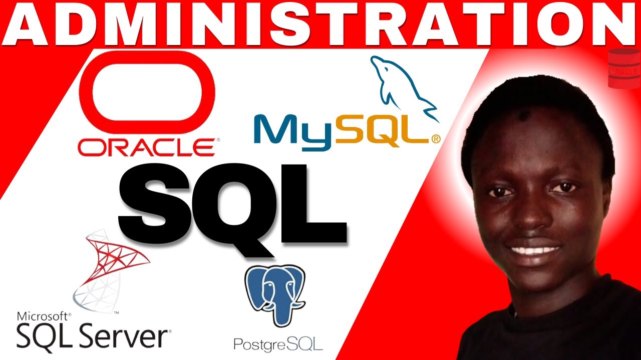 Maîtrisez SQL en 15 Minutes : Les Secrets des Bases de Données Dévoilés !