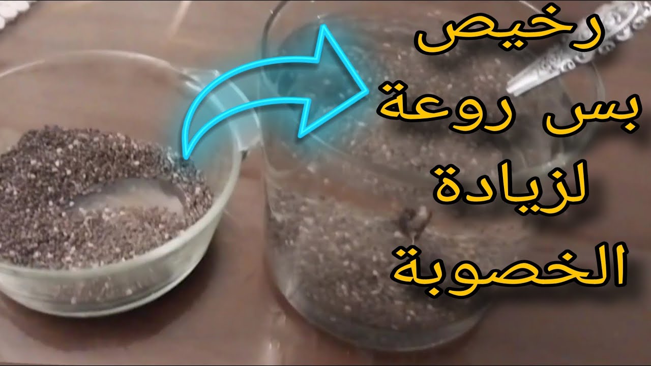 بذور الشيا السحرية لطيور الزينة❗️ فوائد مذهلة لو استخدمتها صح👌
