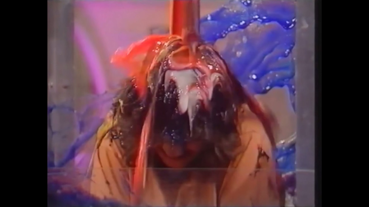 Noel Edmonds Saturday Night Roadshow (NESR) Fluttering Eyes Gunge Tank