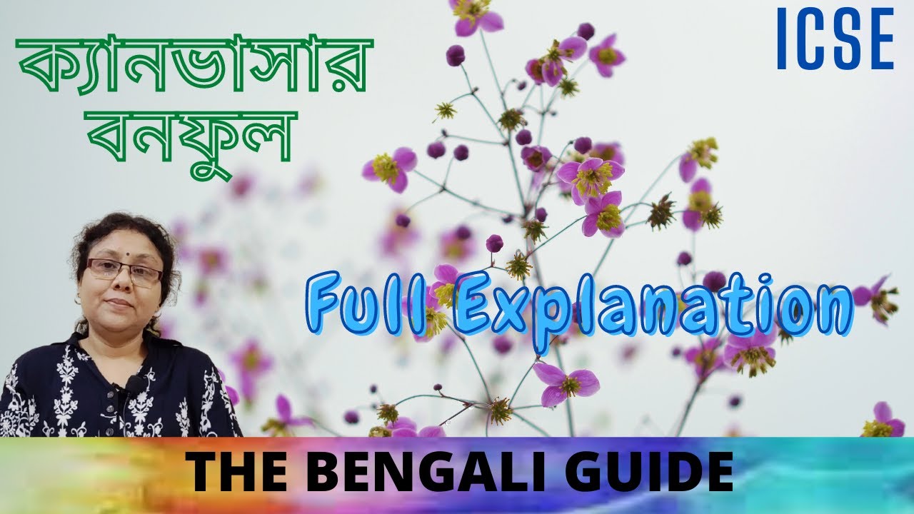 Canvasar (ক্যানভাসার) | ICSE | Detailed Explanation