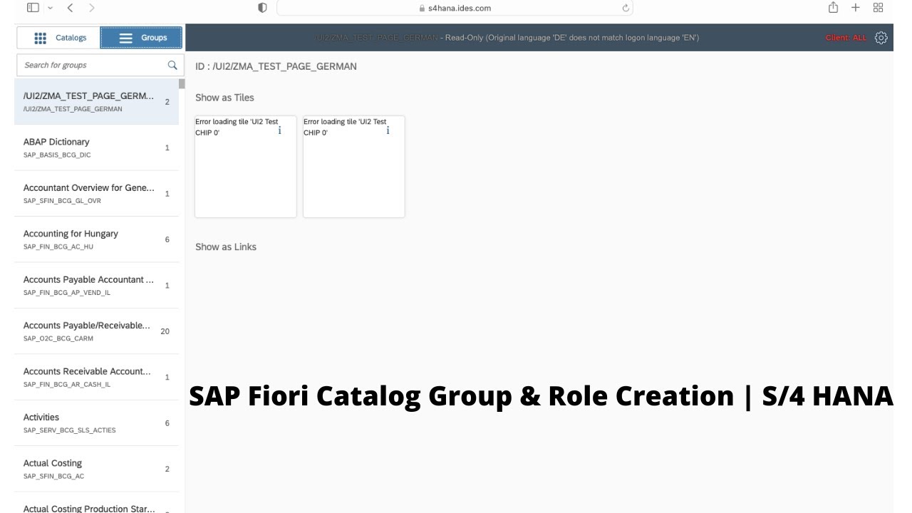 SAP Fiori Catalog Group & Role Creation | S/4 HANA