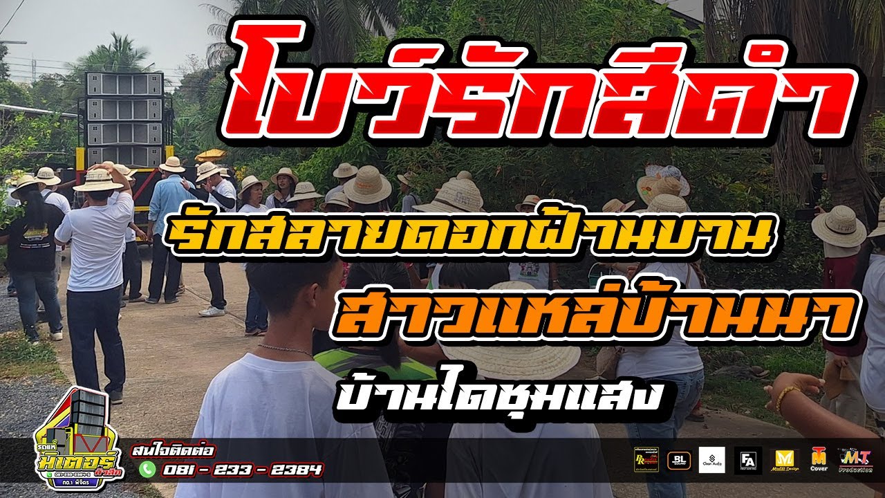 มาใหม่!!! โบว์รักสีดำ+รักสลายดอกฝ้ายบาน+สาวแหล่บ้านนา (บ้านไดชุมแสง) I วงดนตรีมิเตอร์มิวสิค