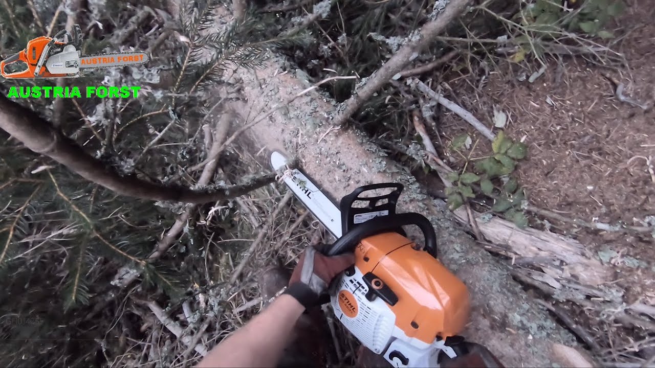 Stihl MS 400 C in der Praxis  Ich habe mehr Glück als Verstand