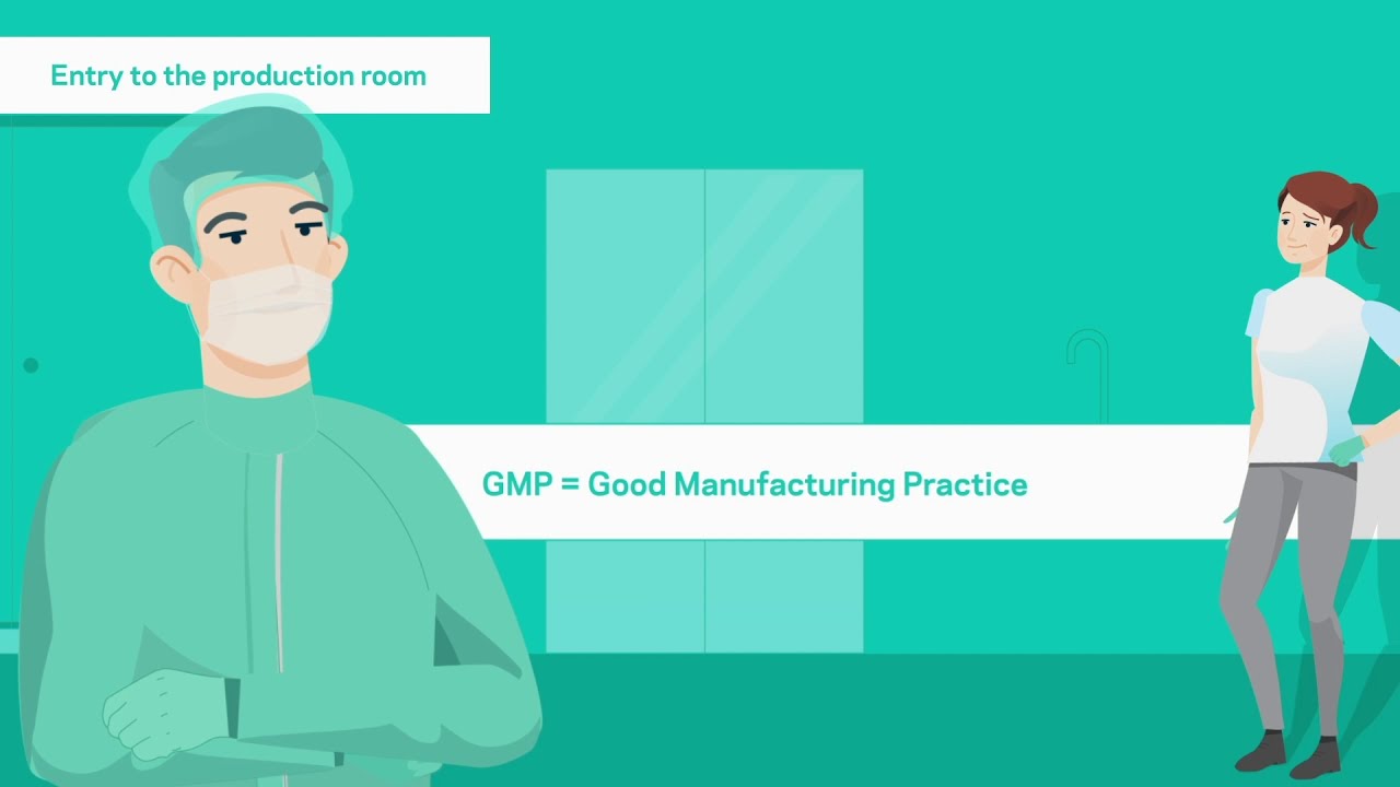 Production of medical cannabis (animation)