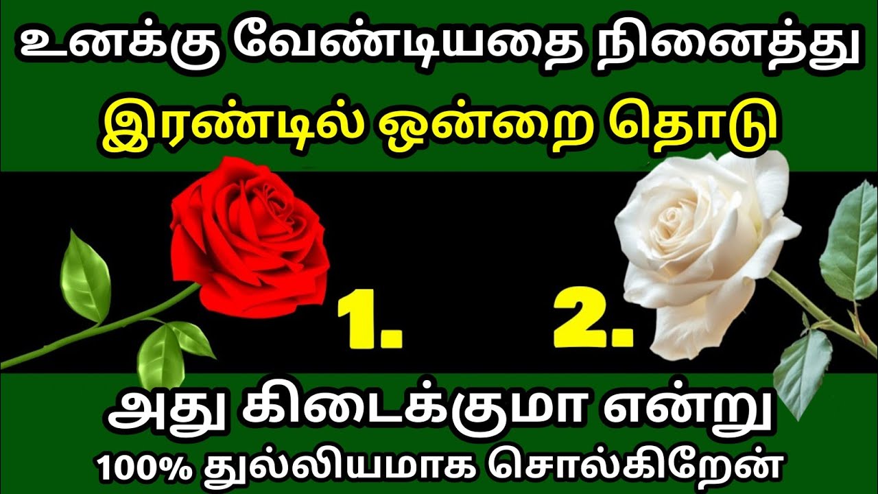 உங்க மனதில் ஒரு ஆசையை நினைத்து இரண்டு ரோஜாக்களில் ஒன்றை தொடுங்கள் ஆசை நிறைவேறுமா என்று சொல்கிறேன்