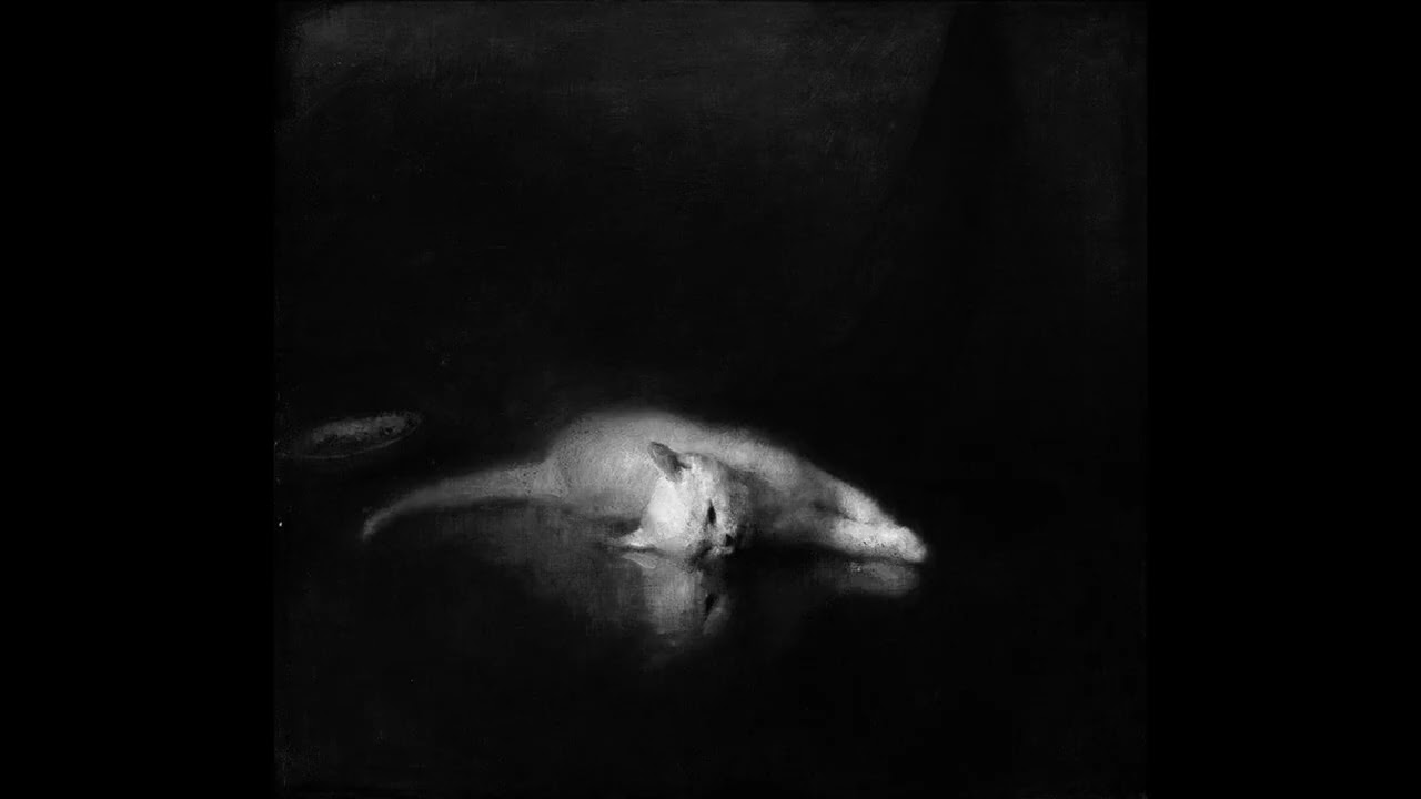 (free for profit) shoegaze x alternative rock type beat 